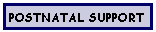 Text Box: Postnatal Support
